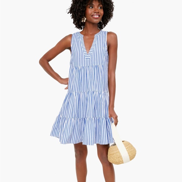 Tuckernuck Dresses & Skirts - Tuckernuck Pomander Place Kenzo Dress Stripe Sleeveless Cotton Poplin Size L